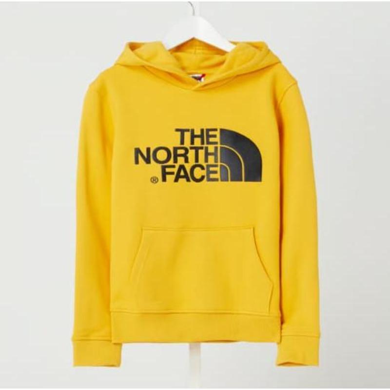 T n A Men's Cotton Fleece Printed Hoodie